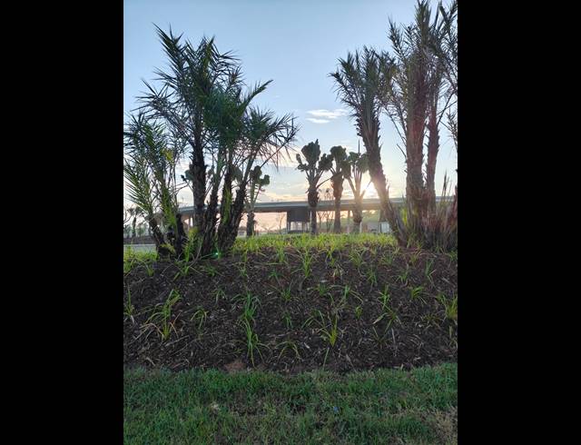 987M² VACANT LAND FOR SALE IN SEATON ESTATE